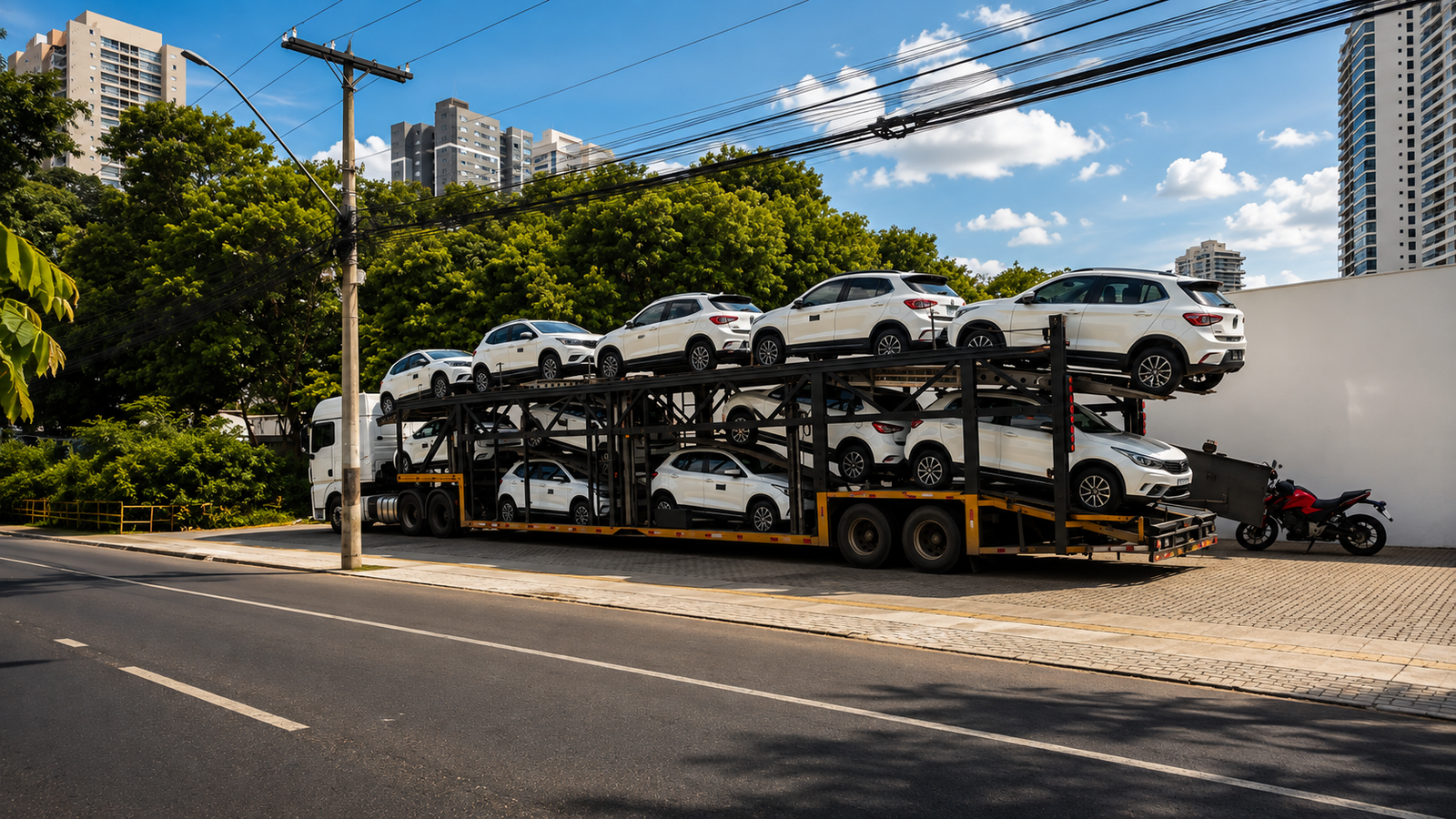 Carreta cegonha